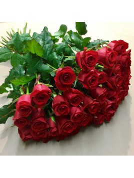 Bouquet de rose rouge 70cm